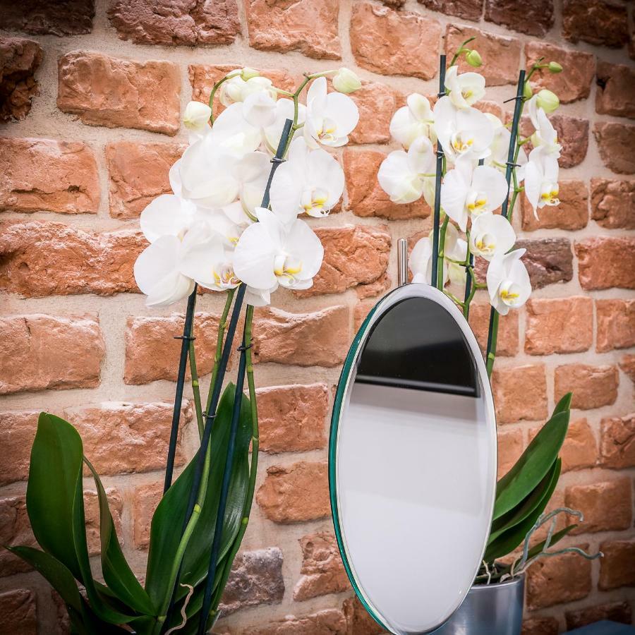 Apartamenty "Artaparts" Stare Miasto - Centrum Stary Toruń エクステリア 写真